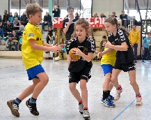 Minis 2015